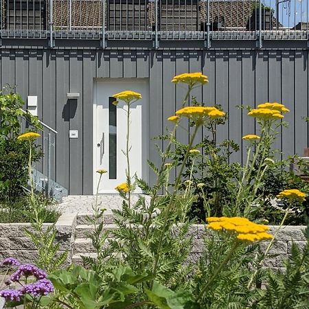 Вілла Haus Zur Aach Tinyhouse Ульдінген-Мюльгофен Екстер'єр фото