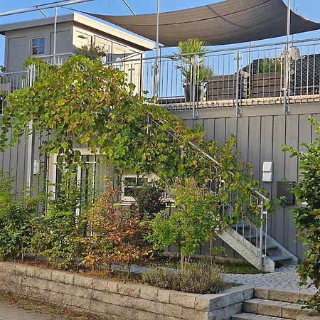 Вілла Haus Zur Aach Tinyhouse Ульдінген-Мюльгофен Екстер'єр фото
