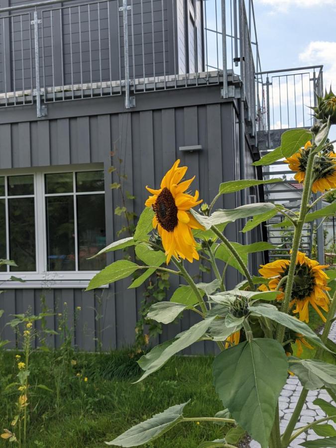 Вілла Haus Zur Aach Tinyhouse Ульдінген-Мюльгофен Екстер'єр фото
