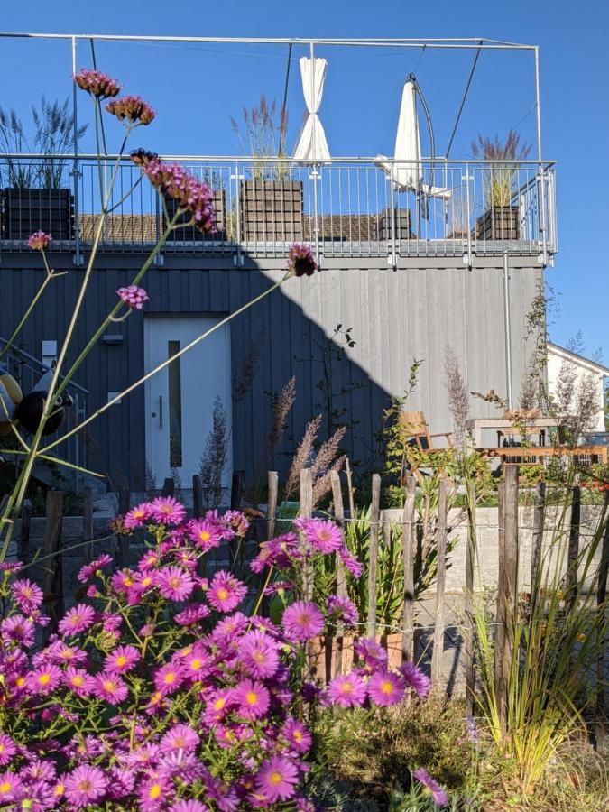 Вілла Haus Zur Aach Tinyhouse Ульдінген-Мюльгофен Екстер'єр фото